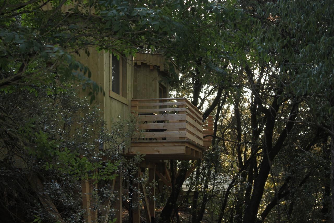 Les Cabanes Dans Les Bois Logis Hotel Villedubert Rum bild