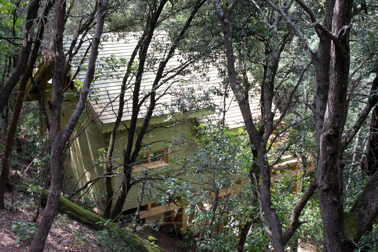 Les Cabanes Dans Les Bois Logis Hotel Villedubert Exteriör bild