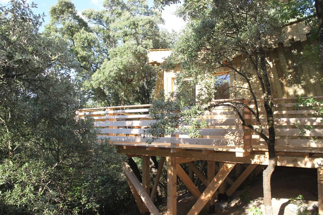 Les Cabanes Dans Les Bois Logis Hotel Villedubert Rum bild