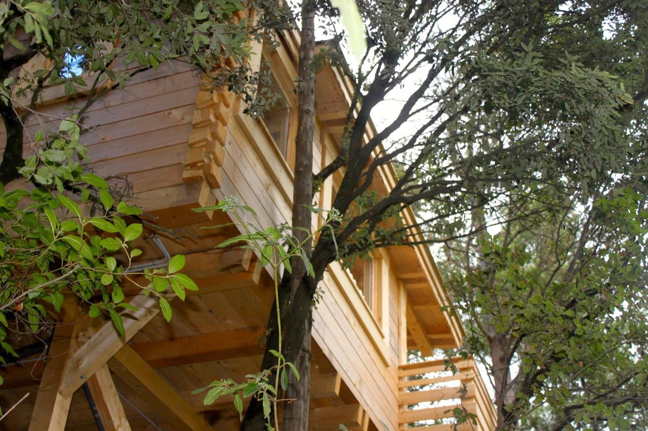 Les Cabanes Dans Les Bois Logis Hotel Villedubert Exteriör bild