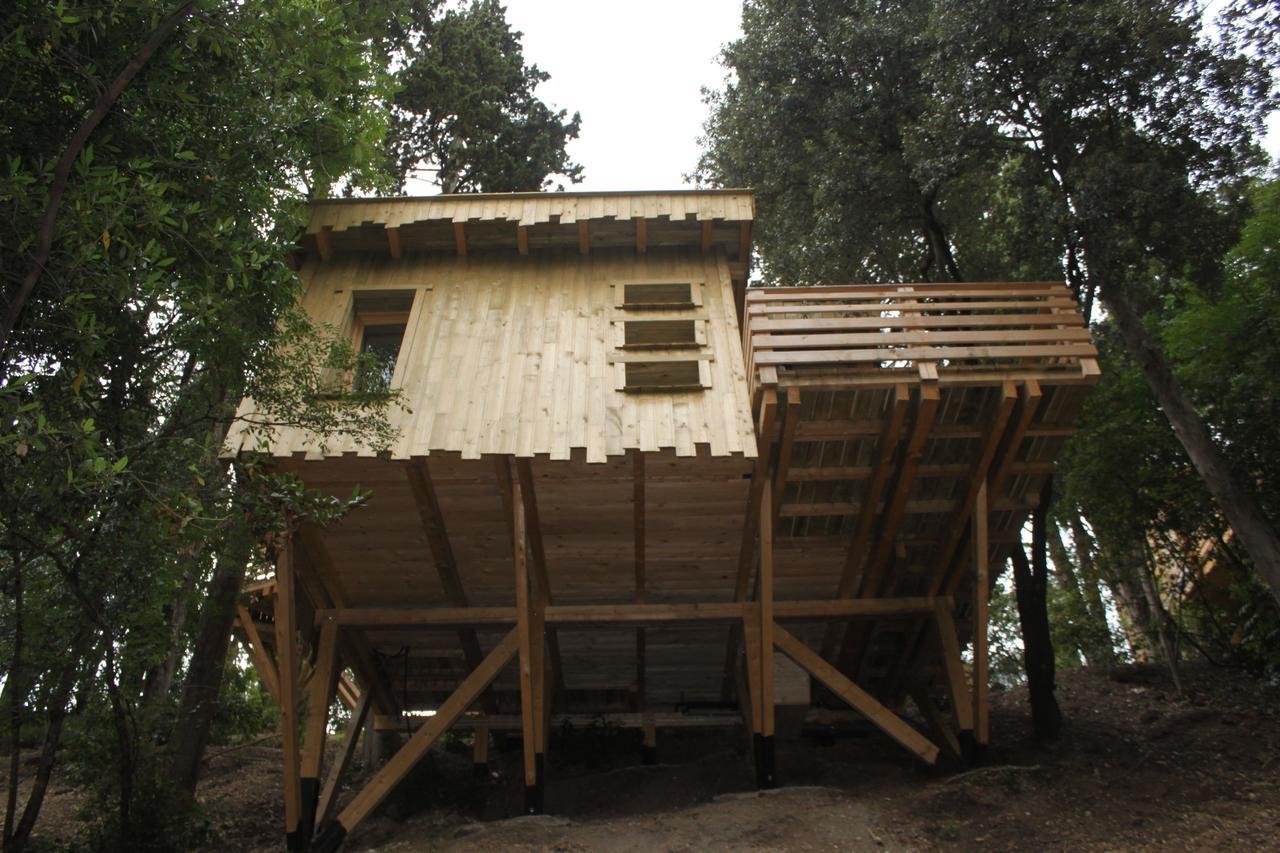 Les Cabanes Dans Les Bois Logis Hotel Villedubert Rum bild