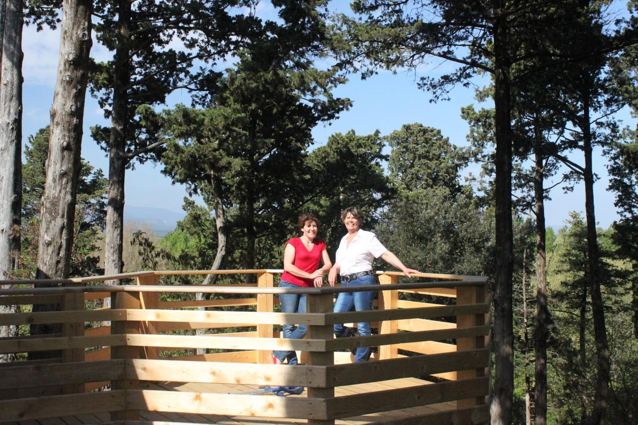 Les Cabanes Dans Les Bois Logis Hotel Villedubert Exteriör bild