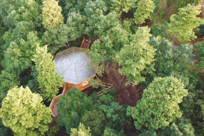 Les Cabanes Dans Les Bois Logis Hotel Villedubert Exteriör bild