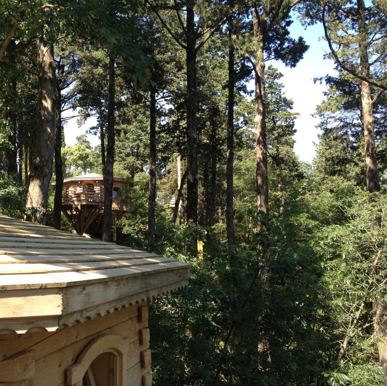 Les Cabanes Dans Les Bois Logis Hotel Villedubert Exteriör bild